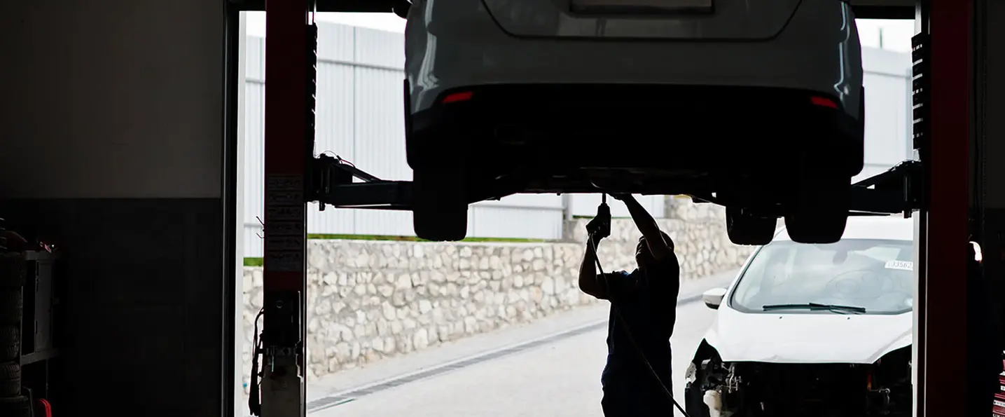 About Minipura Auto Hybrid Care